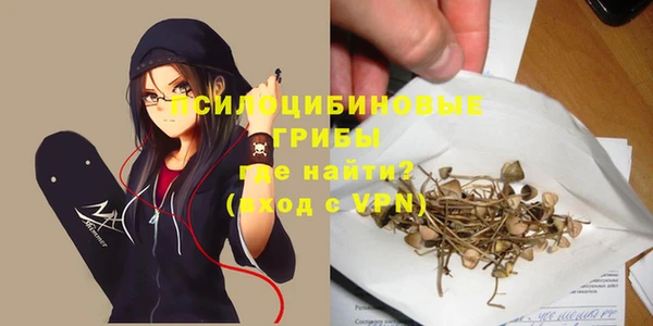 крисы Абинск
